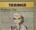 Professor Oak (1999-2000)