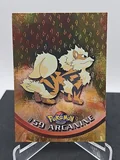 Arcanine Flames Embossed 59