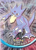 Golduck 55