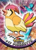 Pidgeotto 17