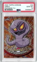 Arbok 24