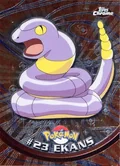 Ekans 23