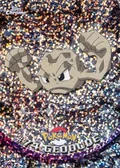Geodude Sparkle 74