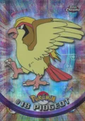 Pidgeot Tekno 18