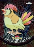 Pidgeotto 17