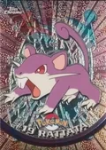 Rattata 19