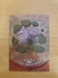 Weezing 110