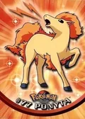Ponyta 77