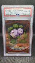 Weezing Foil 110