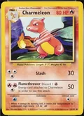 Charmeleon 1999 2000 24