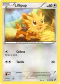 Lillipup 81