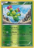 Maractus Reverse Holo 11