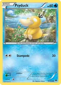 Psyduck 16