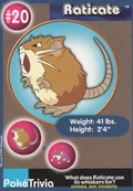 Raticate 20