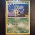 Turtwig Jumbo 103