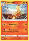 Combusken 27