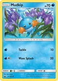 Mudkip 33