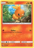Torchic 25