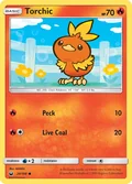 Torchic 26