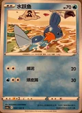 Mudkip 29