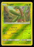 Tropius Reverse Holo 12
