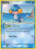 Mudkip 57