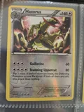Haxorus Reverse Holo 89