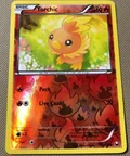 Torchic Reverse Holo 15