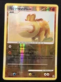 Hippopotas Reverse Holo 51