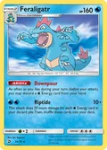 Feraligatr 24