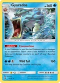 Gyarados 20