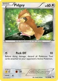 Pidgey 75