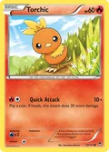 Torchic City Championships 12