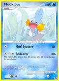 Mudkip 80