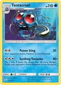 Tentacruel 24