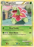 Meganium 26