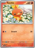 Torchic 22