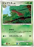 Grovyle 6