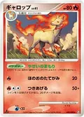 Rapidash 20