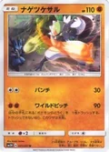 Passimian 31