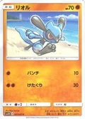 Riolu 27