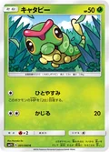 Caterpie 1
