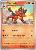 Torracat 21