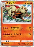 Arcanine 9