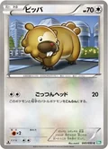 Bidoof 45