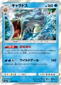 Gyarados 16