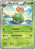 Bellossom 4