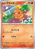Torchic 18