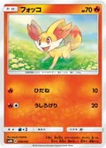 Fennekin 19