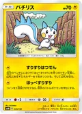 Pachirisu 35